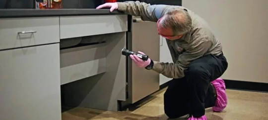 technician-examining-with-pink-shoes